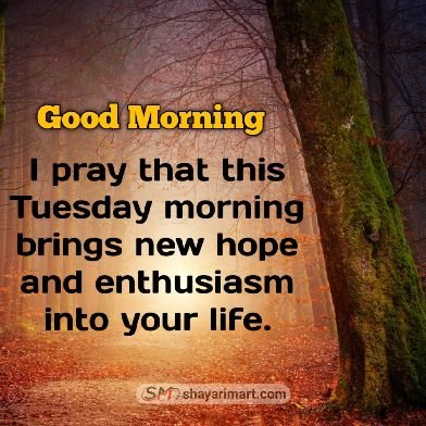 Good Morning Tuesday Blessings