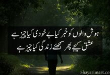 Urdu Shayari on Life Urdu Shayari on Life