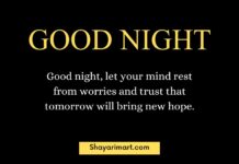 Positive Good Night Quotes