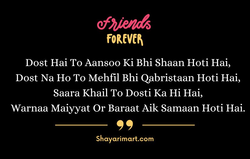 Best Friend Shayari in English