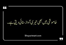 One Line Urdu Poetry One Line Urdu Poetry